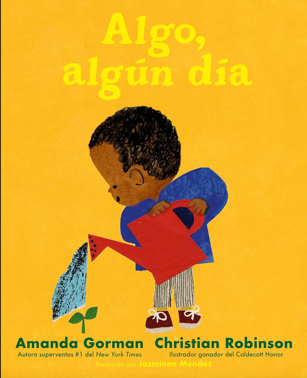 Algo, algún Dia Hardcover Book