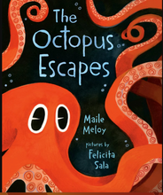 Load image into Gallery viewer, The Octopus Escapes Board Book
