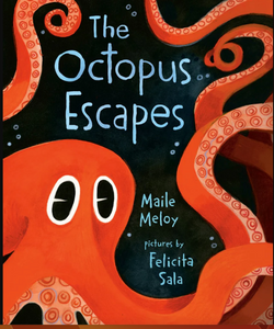 The Octopus Escapes Board Book