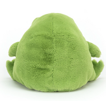 Load image into Gallery viewer, Jellycat Ricky Rain Frog

