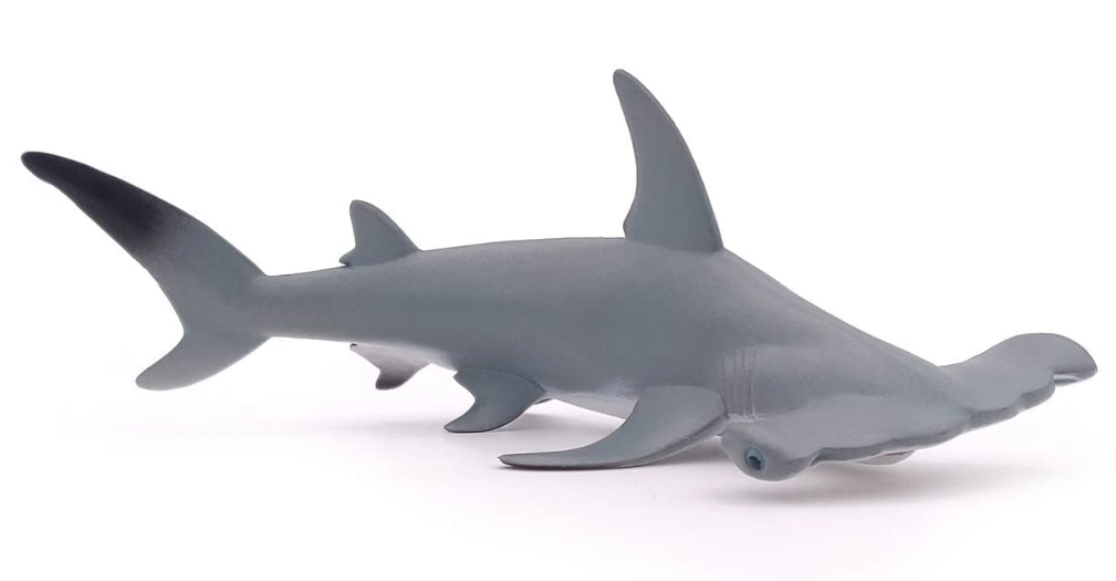 Hammerhead Shark – Silver Moon Kids